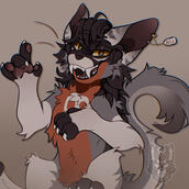 Halfbody
